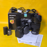 Demo Unit Sony Alpha a6400 Mirrorless Camera + 18-135mm OSS Lens AS03